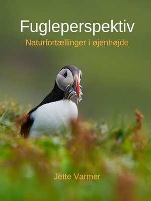 cover image of Fugleperspektiv